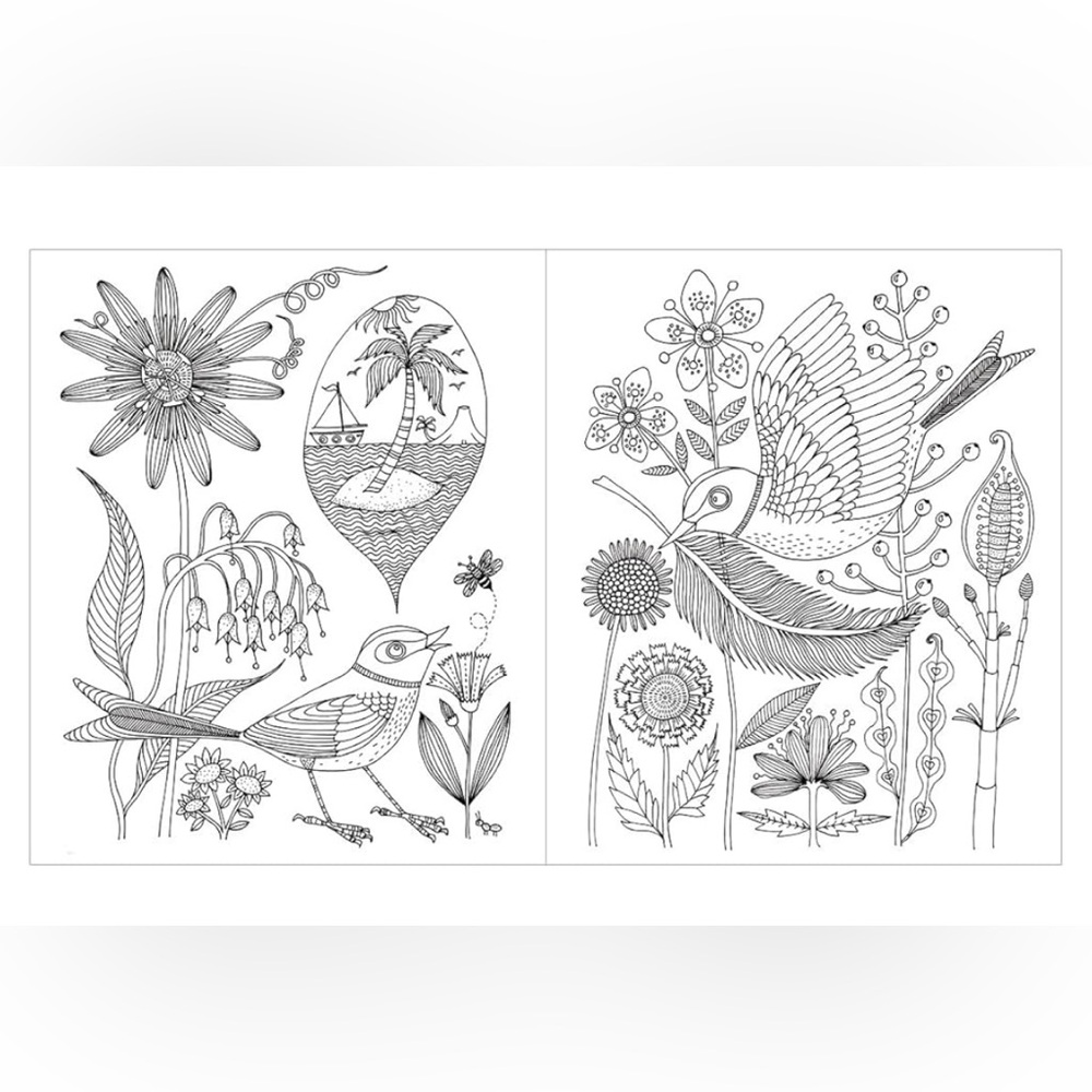 Avian Friends Coloring Book with Floral Design - Picture 3 of 8
